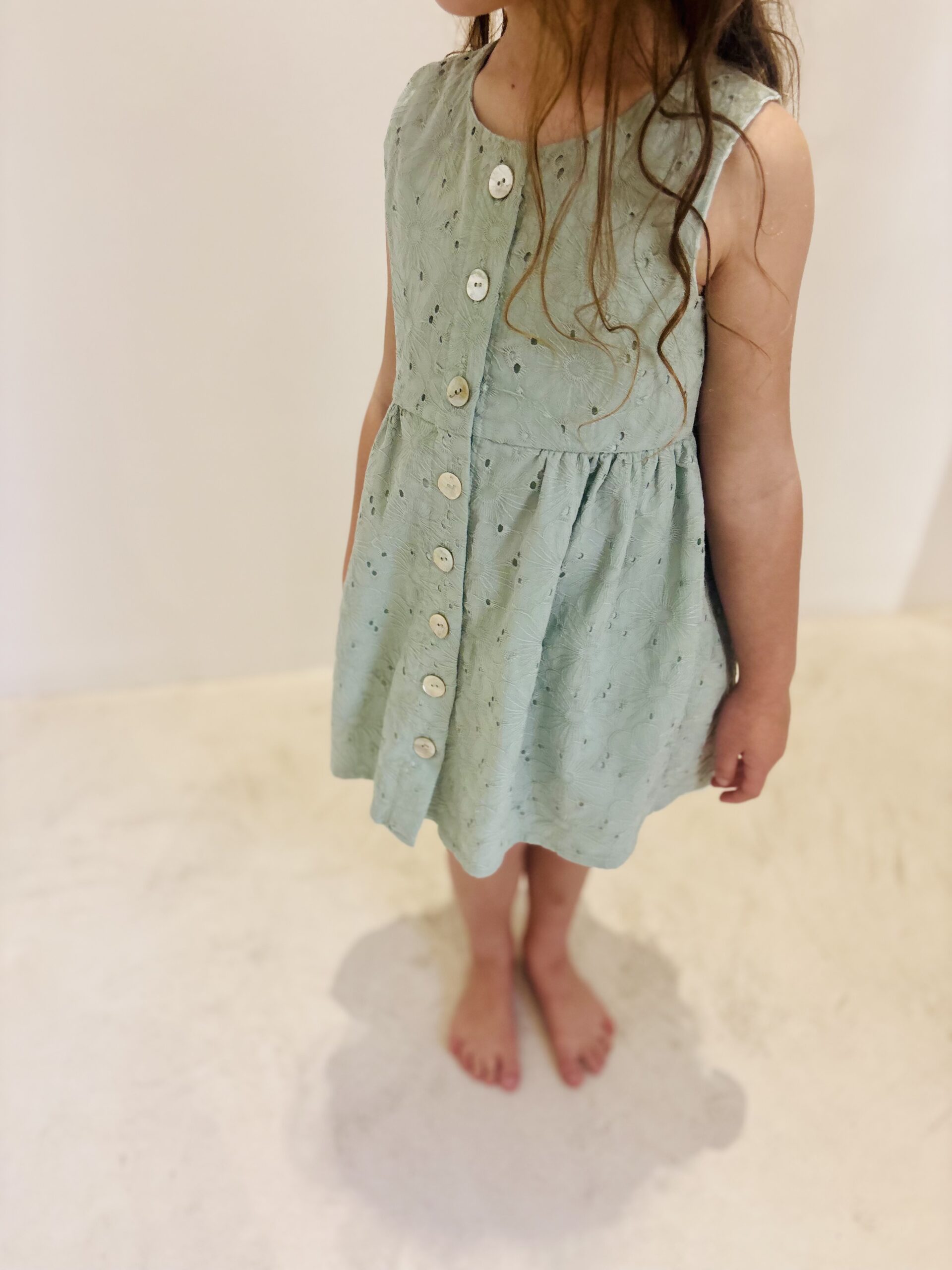 Bluebird Dress