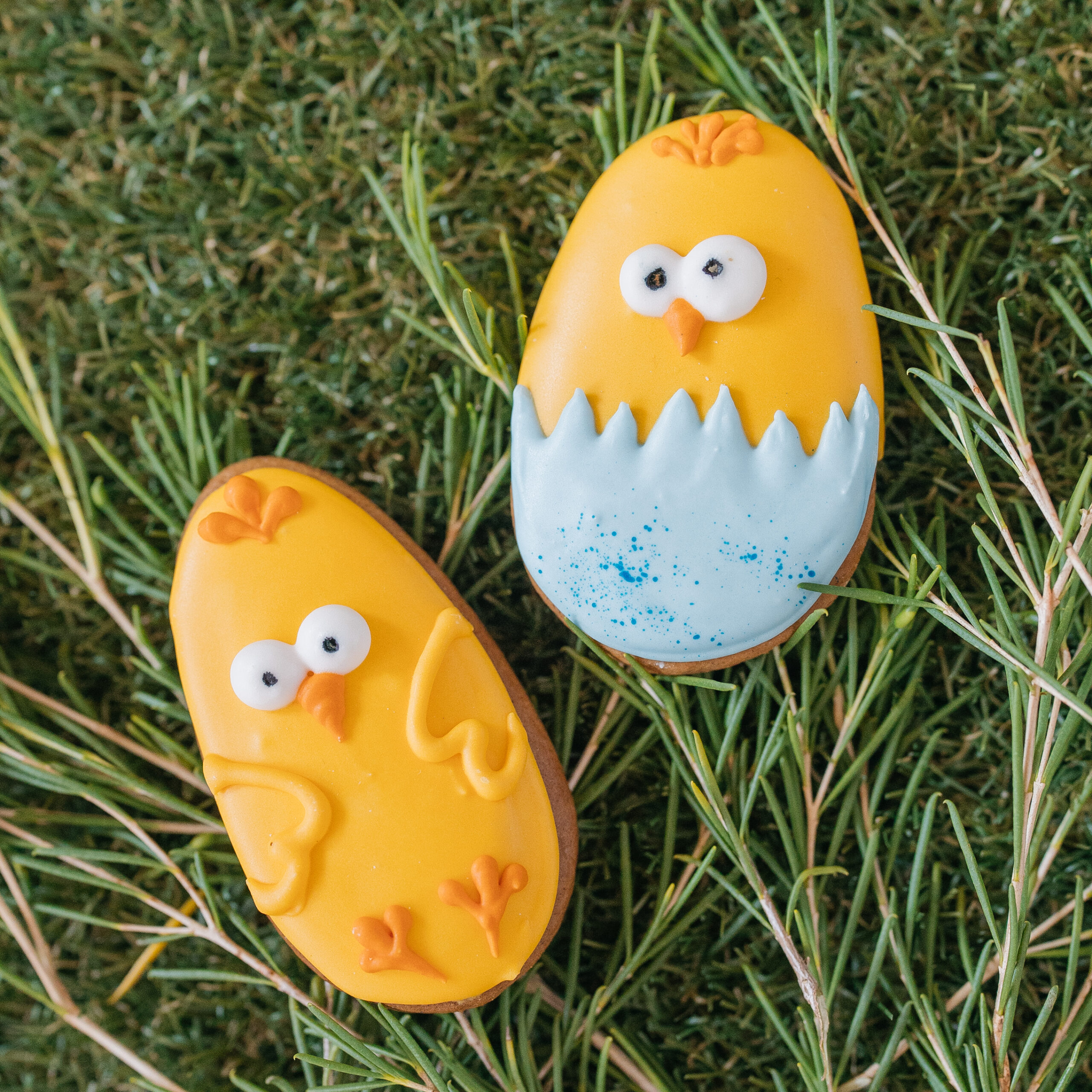 Chicklets Easter Biscuits - Image 2