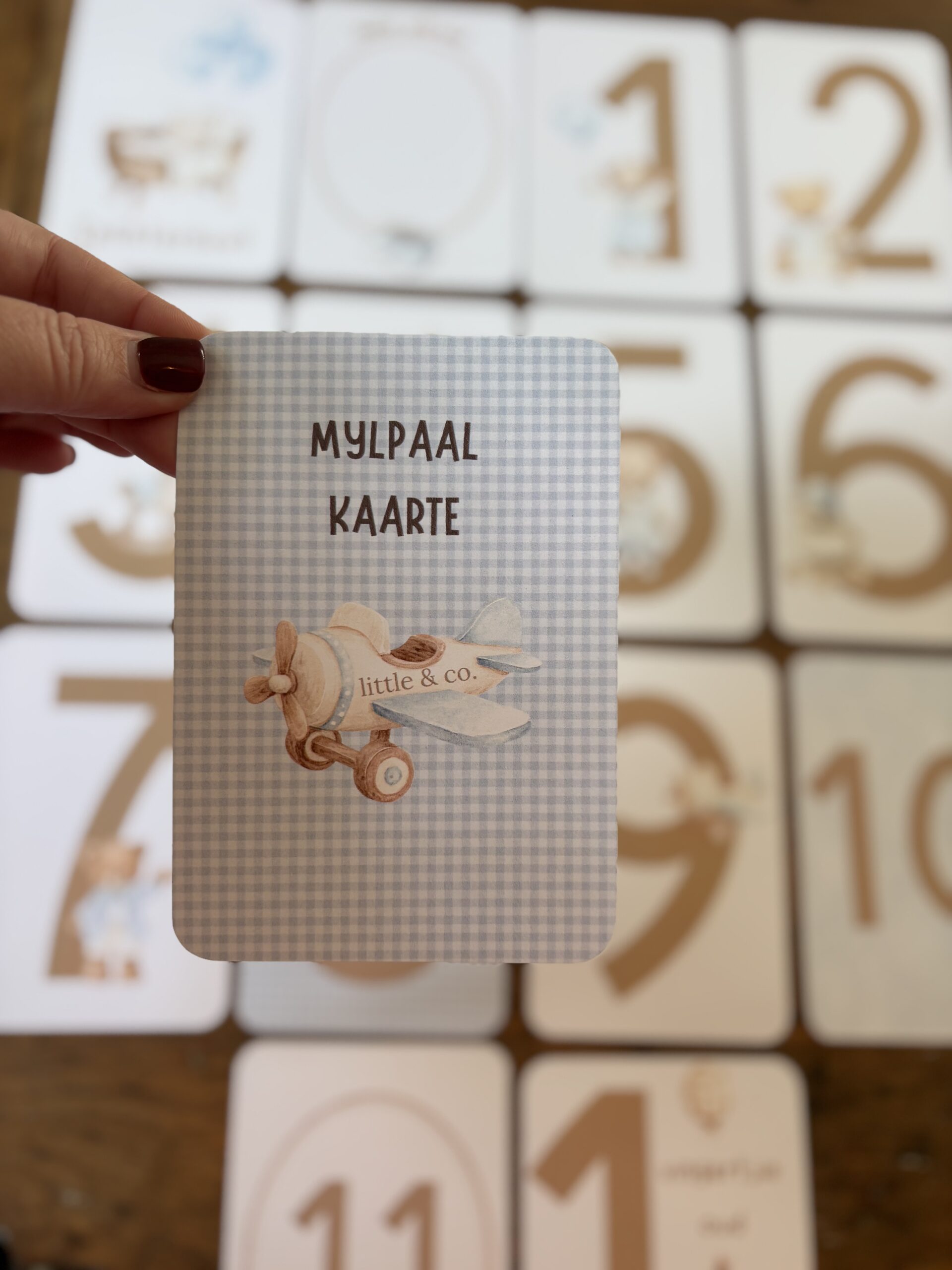 Mylpaal Kaarte (Seuntjie)