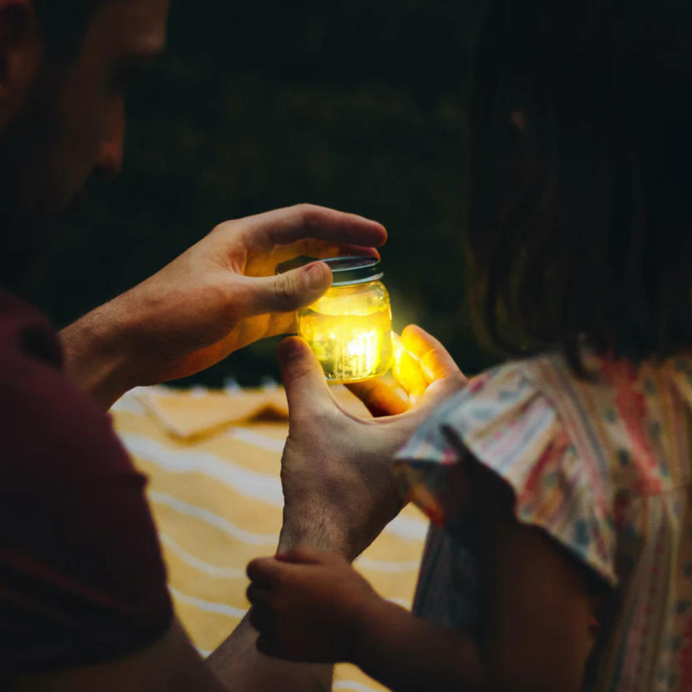 GLO PALS - Image 4