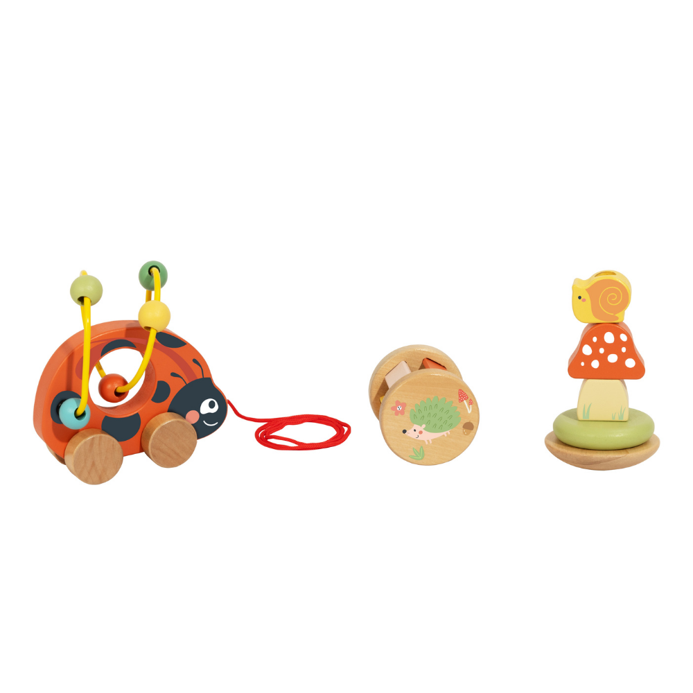 3-in-1 wooden toy gift set: LADYBUG
