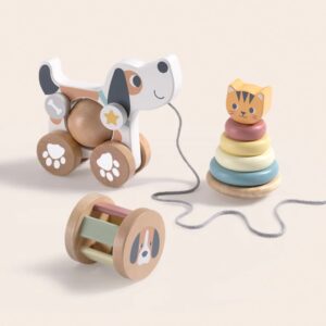 3-in-1 wooden toy gift set: PETS