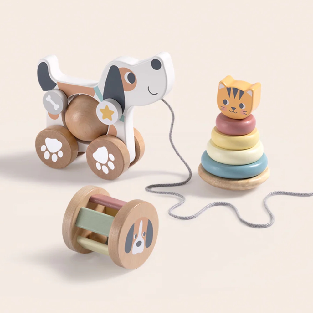 3-in-1 wooden toy gift set: PETS