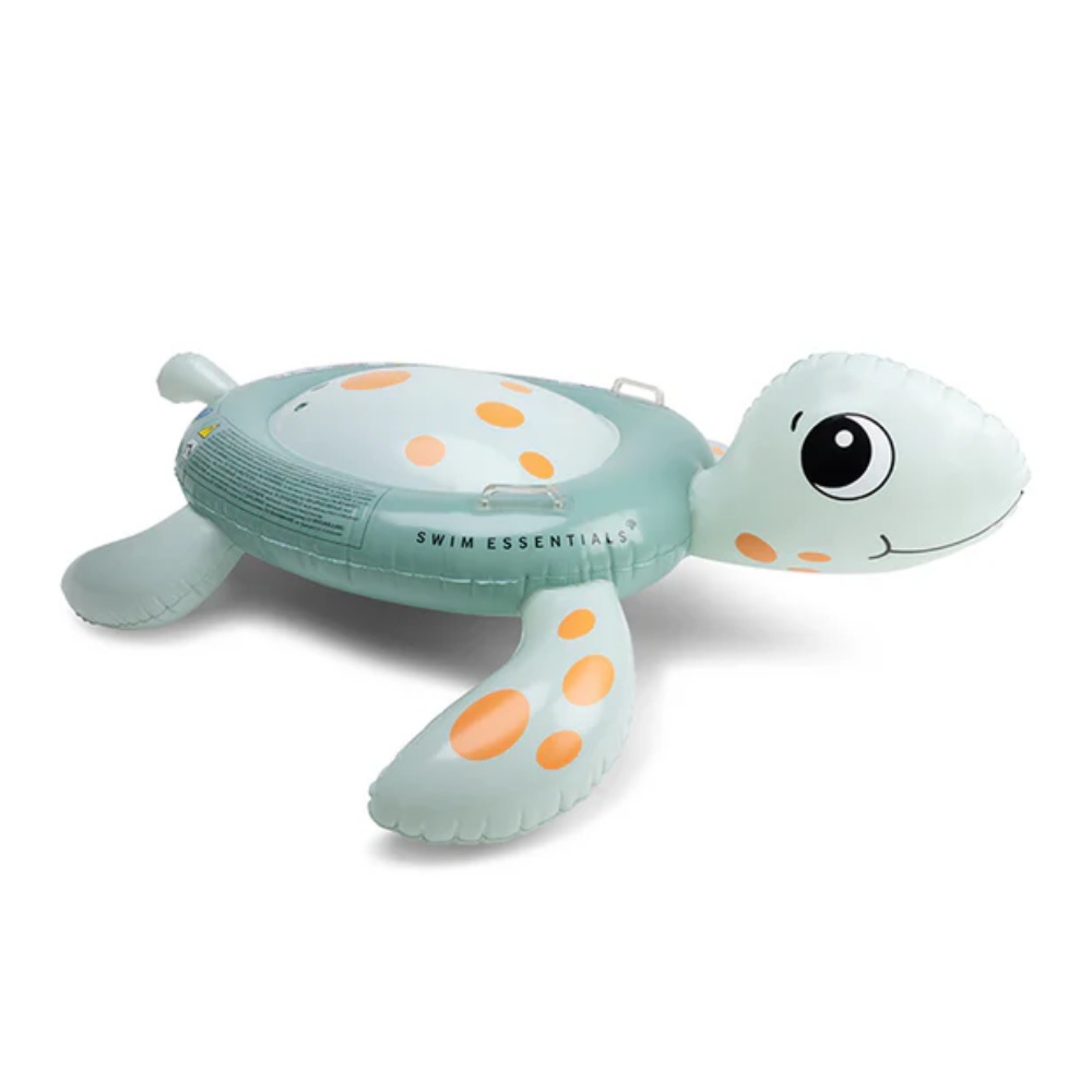 Turtle pool float