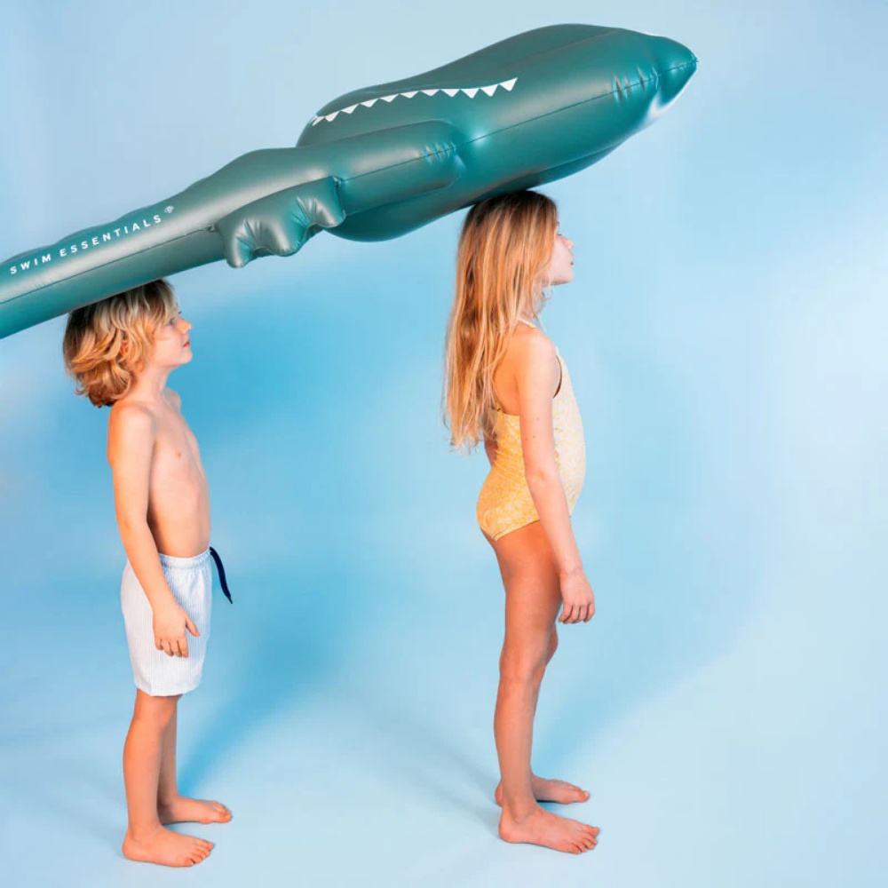 Pool float/lilo crocodile - Image 2
