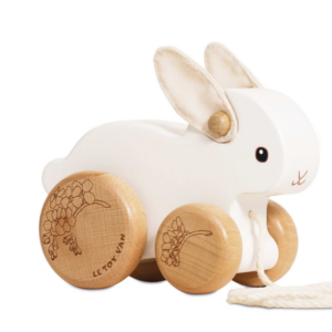 Pull Along Hopping bunny rabbit